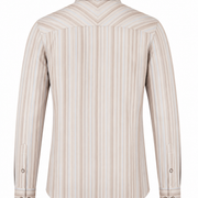 Earth tone satin stripe shirt back view for men