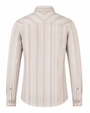 Earth tone satin stripe shirt back view for men