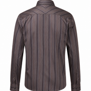 Multicoloured satin stripes shirt back view for men